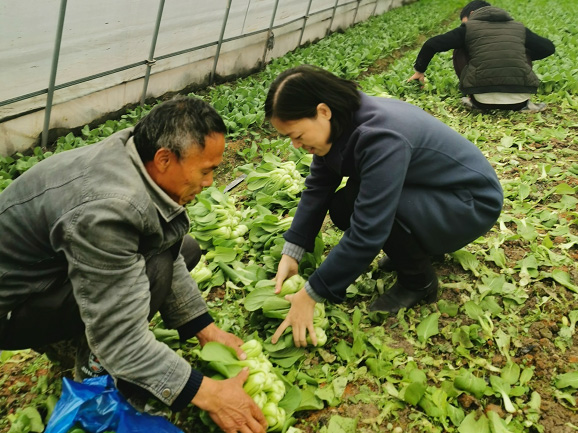 采購貧困地區農副產品，響應消費扶貧政策