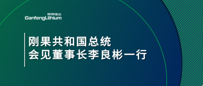 剛果共和國總統會見贛鋒鋰業董事長李良彬一行